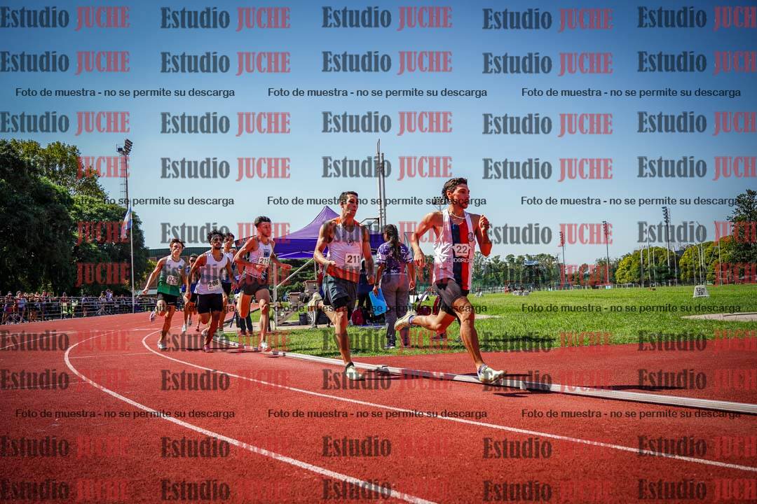 Fotos de los 800 m llanos de varones