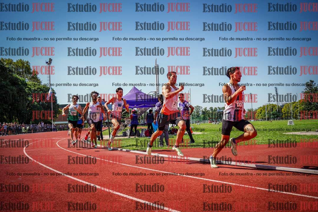 Fotos de los 800 m llanos de varones