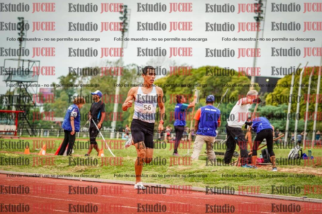 Fotos de los 3000 m llanos de varones