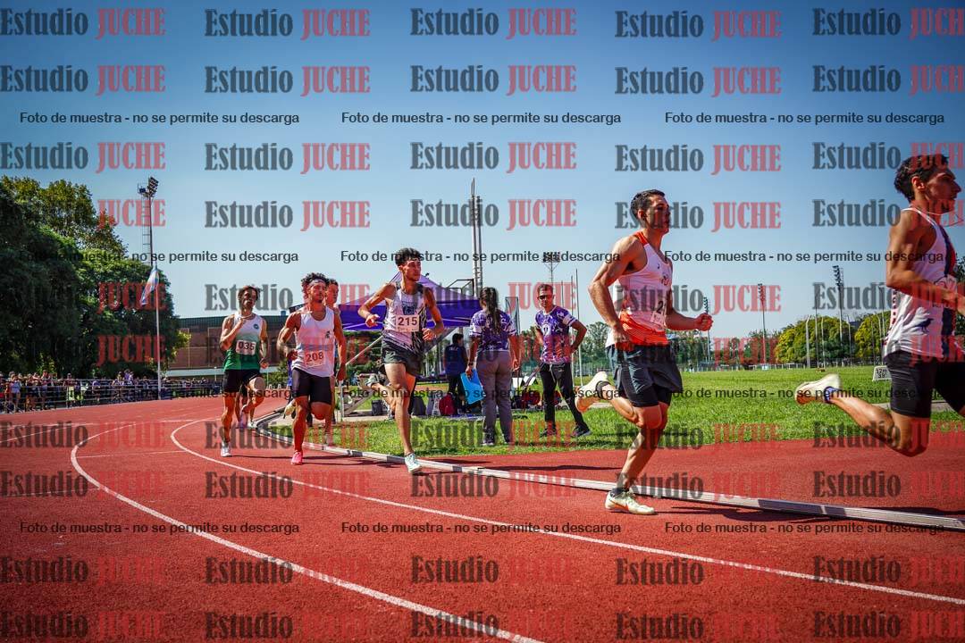Fotos de los 800 m llanos de varones