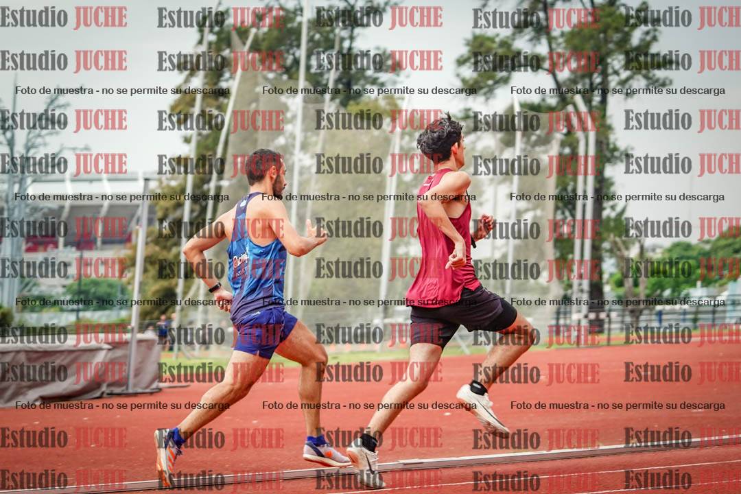 Fotos de los 800 m de varones