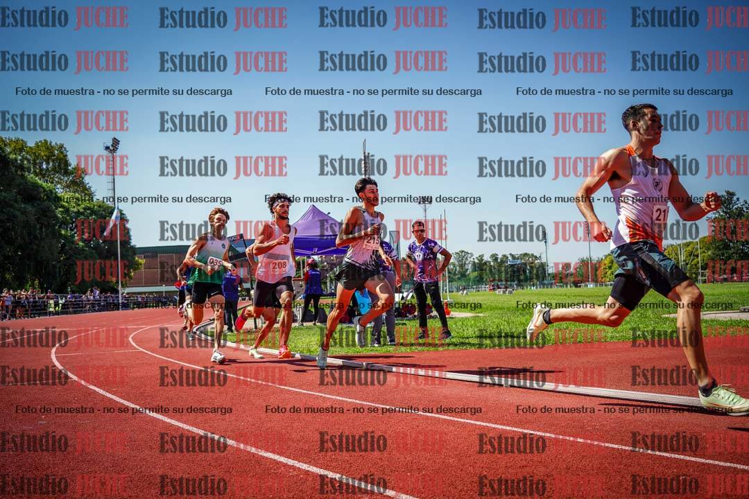 Fotos de los 800 m llanos de varones