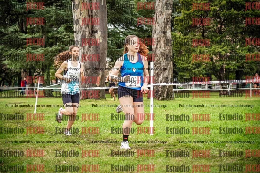Fotos en el circuito