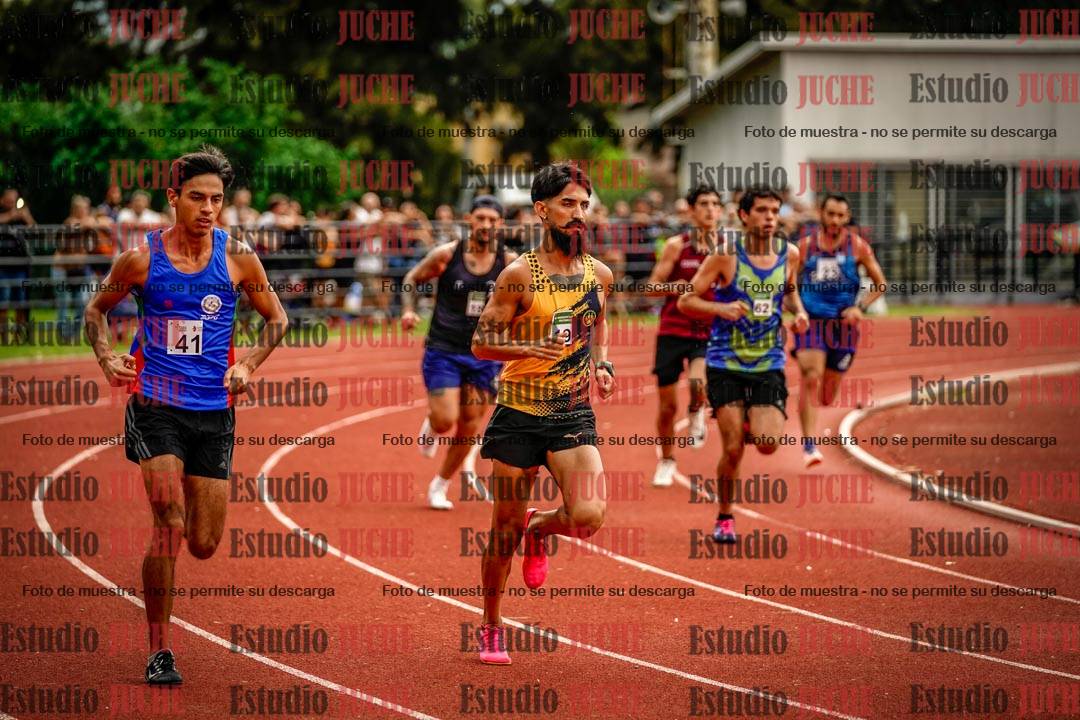 Fotos de los 800 m de varones