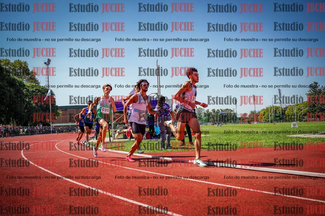 Fotos de los 800 m llanos de varones