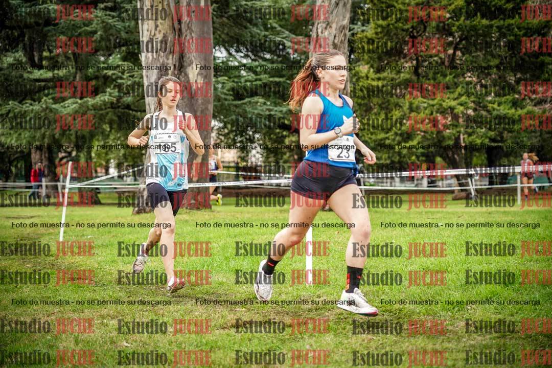 Fotos en el circuito