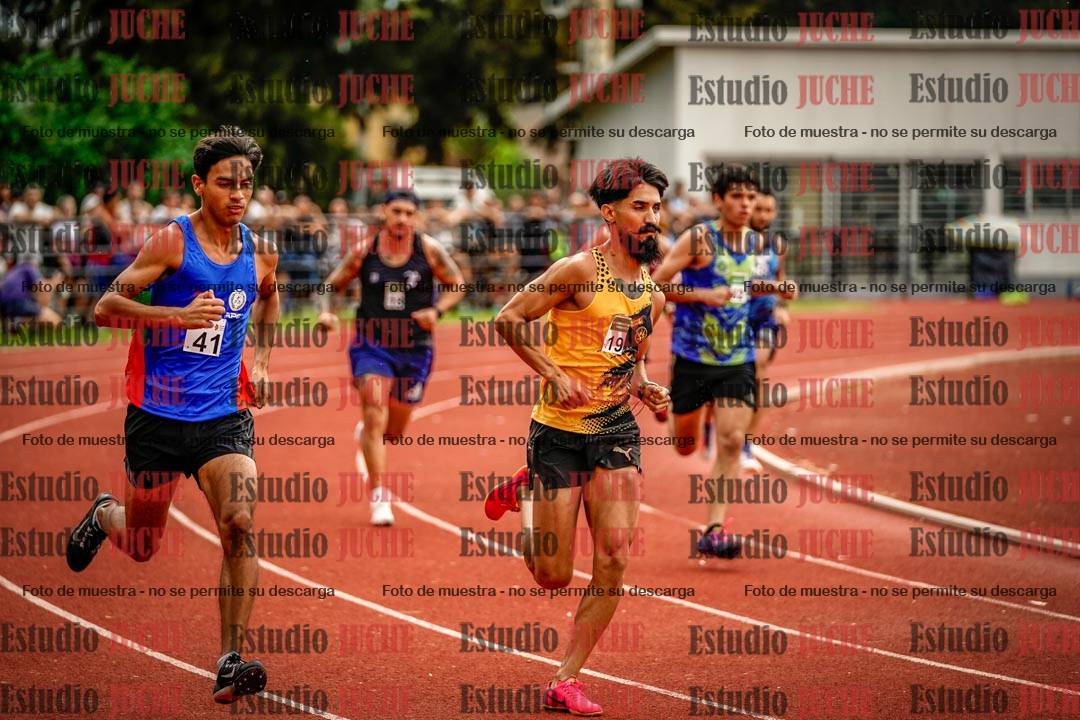 Fotos de los 800 m de varones