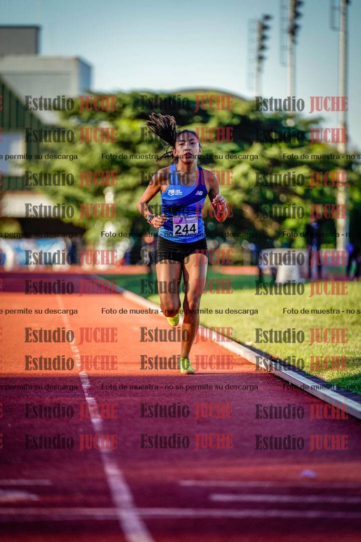 Fotos de los 1500 m de mujeres