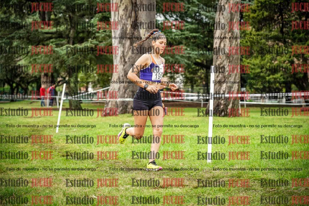 Fotos en el circuito