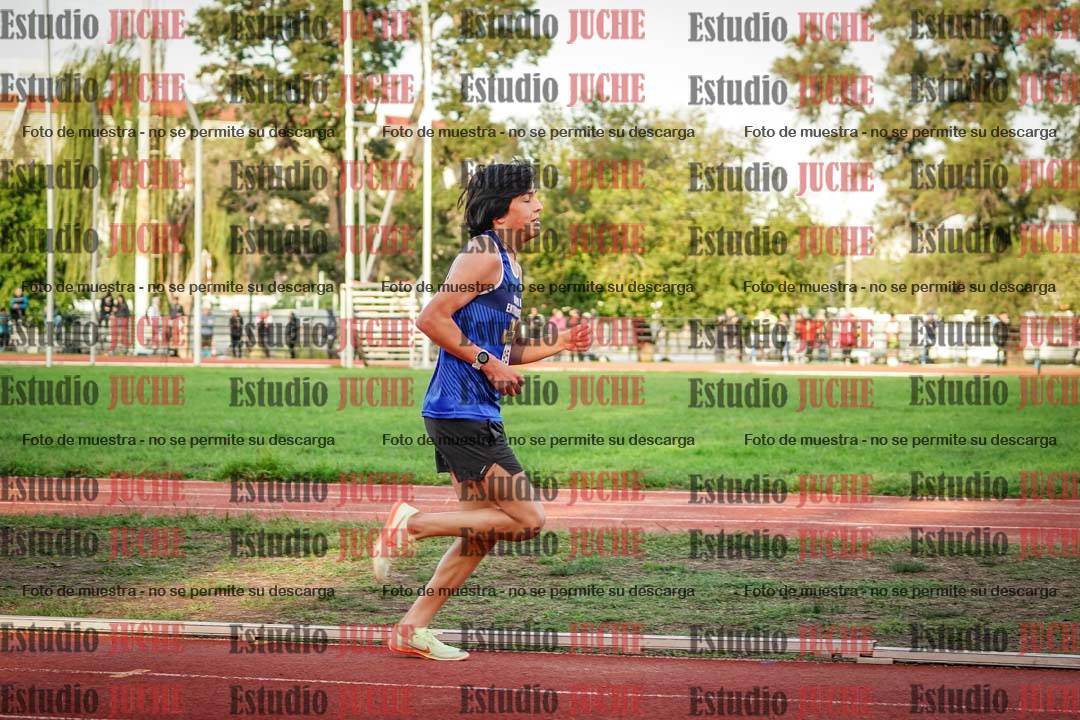 Fotos de los 3000 m llanos de varones