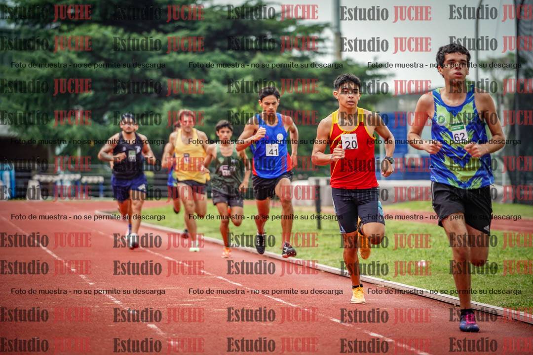 Fotos de los 800 m de varones