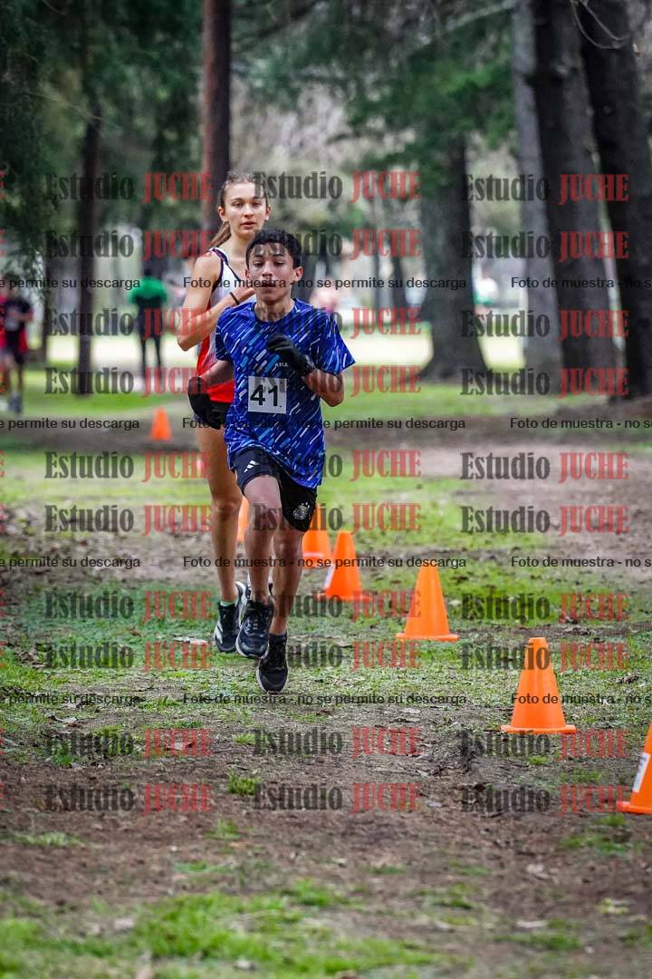Fotos en el circuito