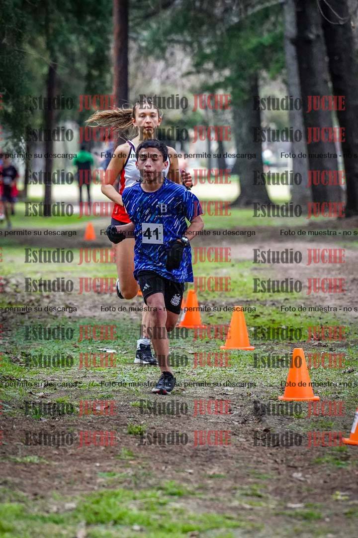 Fotos en el circuito