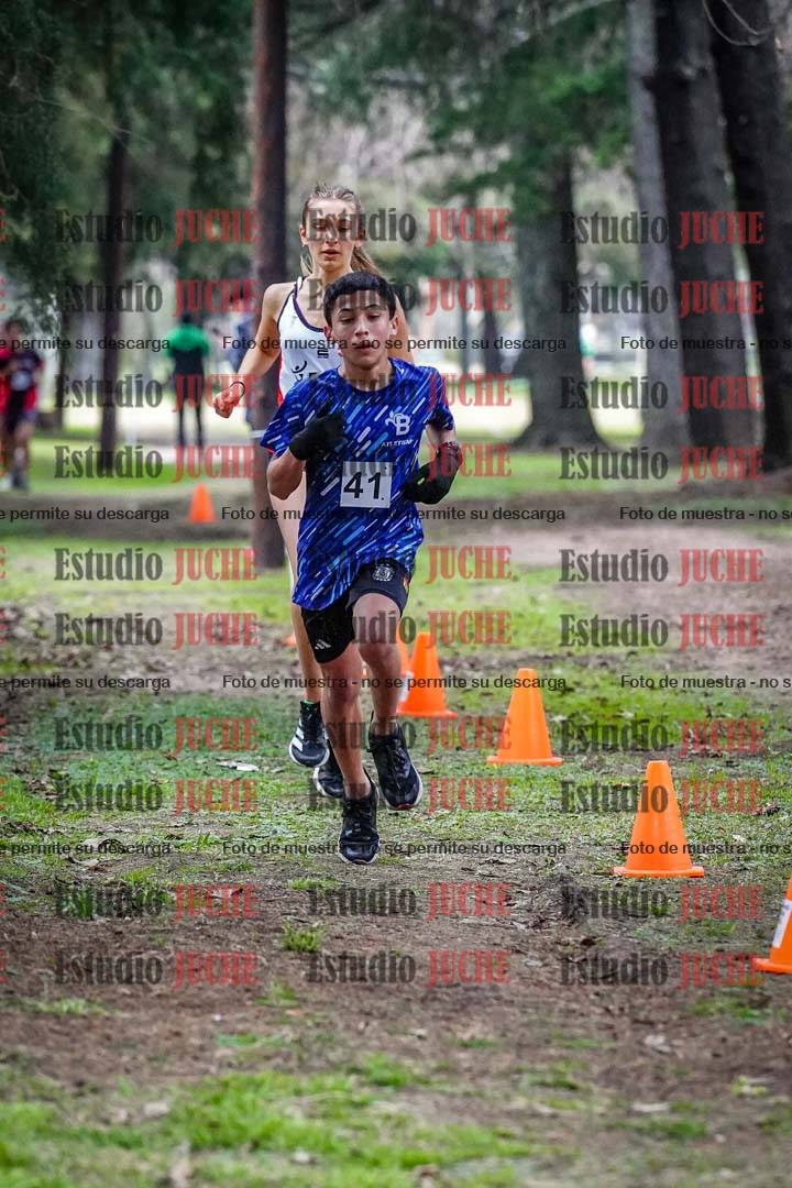 Fotos en el circuito