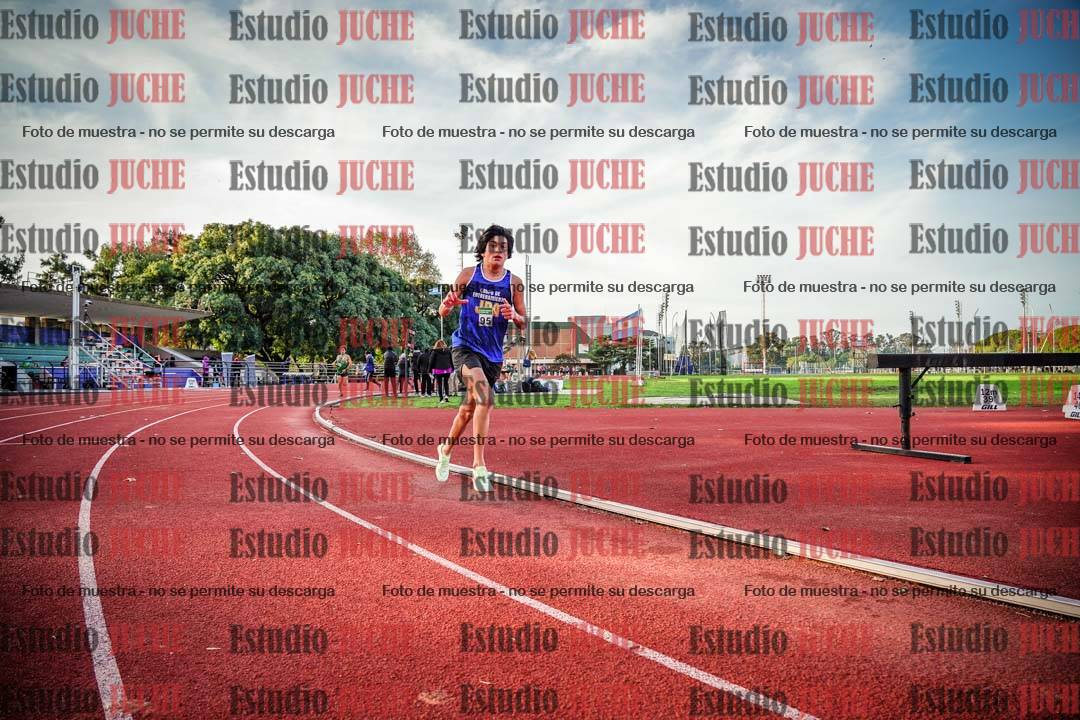 Fotos de los 3000 m llanos de varones