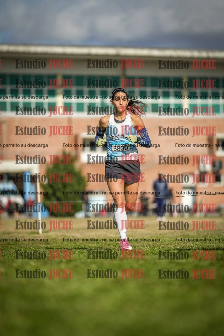 Fotos en el circuito