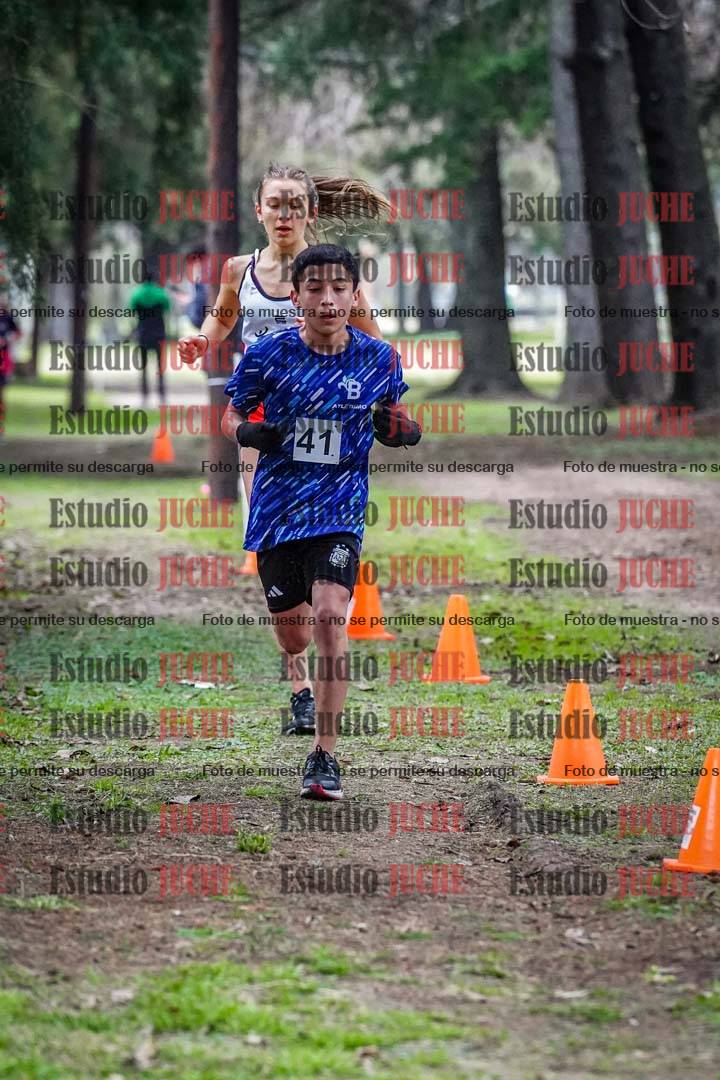 Fotos en el circuito