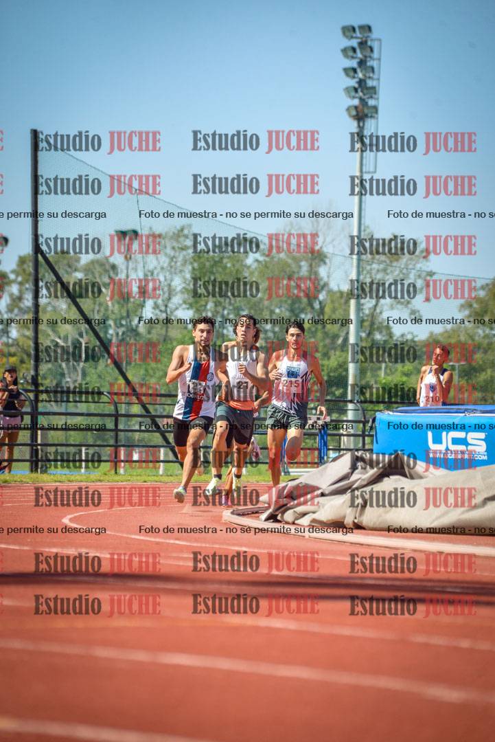 Fotos de los 800 m llanos de varones