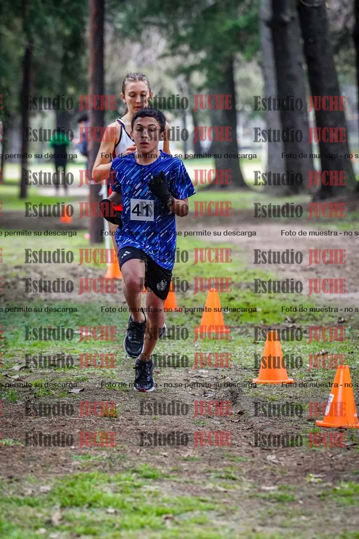 Fotos en el circuito