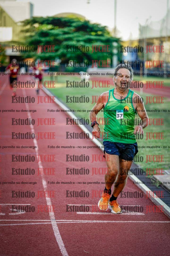 Fotos de los 3000 m llanos de varones