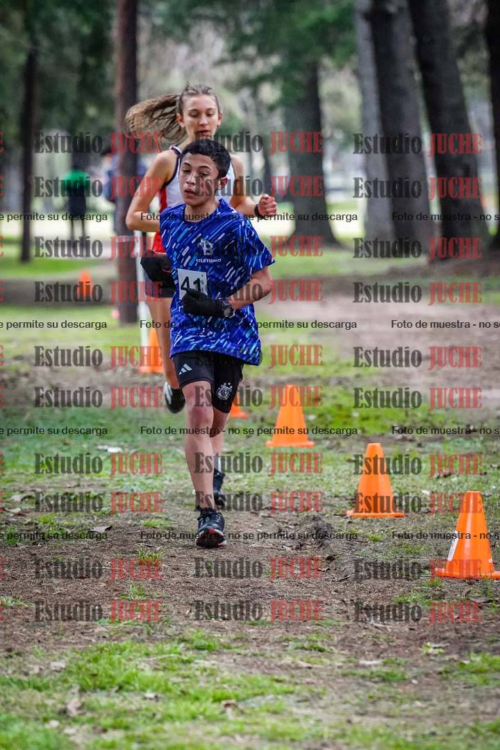 Fotos en el circuito