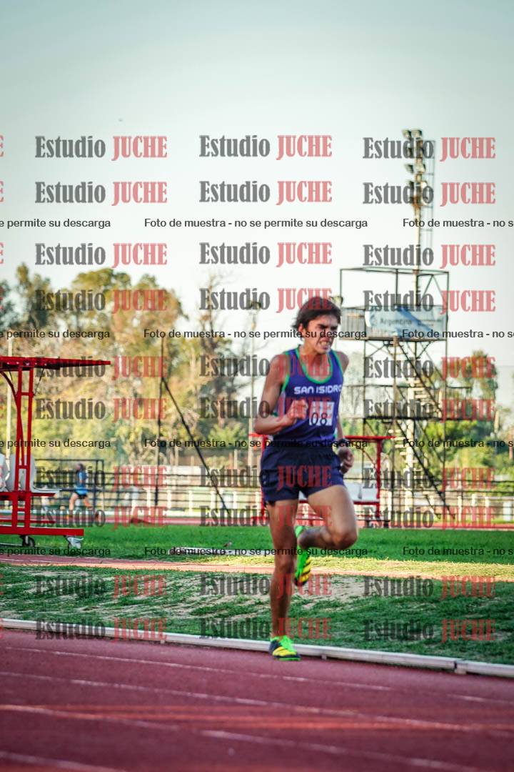 Fotos de los 3000 m llanos de varones
