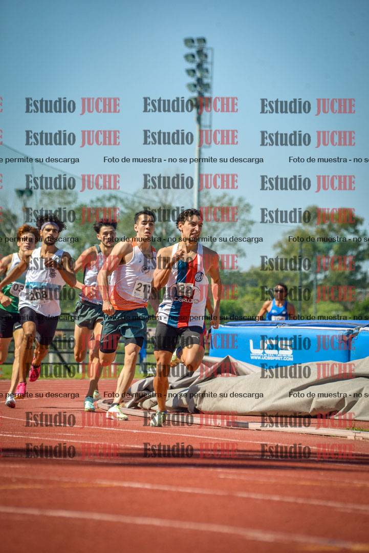 Fotos de los 800 m llanos de varones