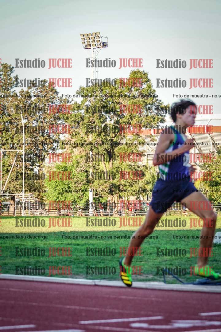 Fotos de los 3000 m llanos de varones
