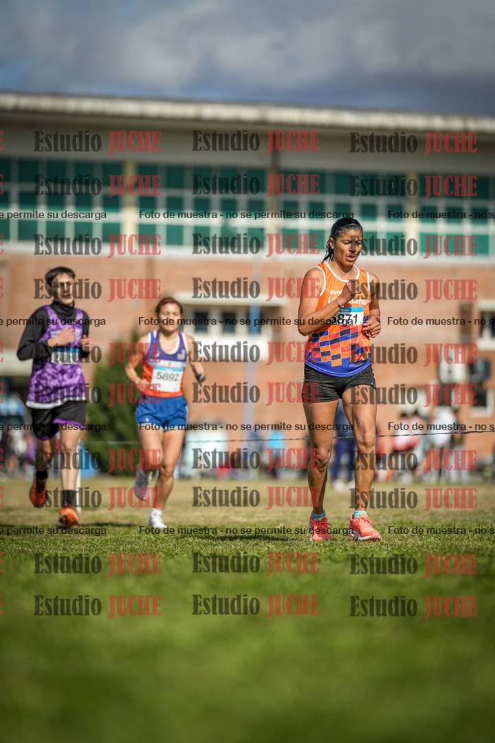 Fotos en el circuito