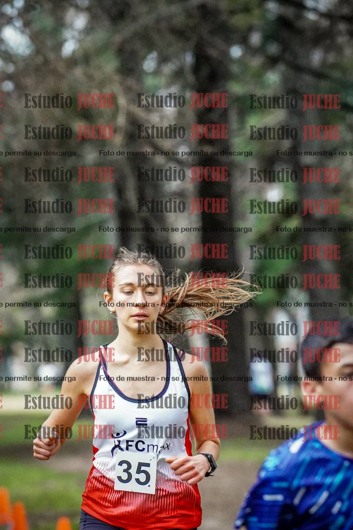 Fotos en el circuito