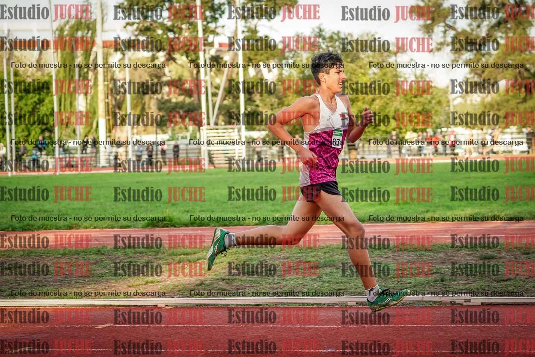 Fotos de los 3000 m llanos de varones