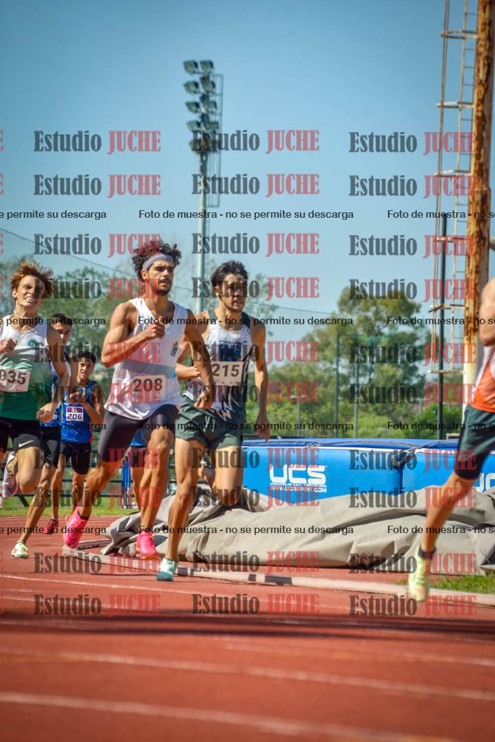 Fotos de los 800 m llanos de varones