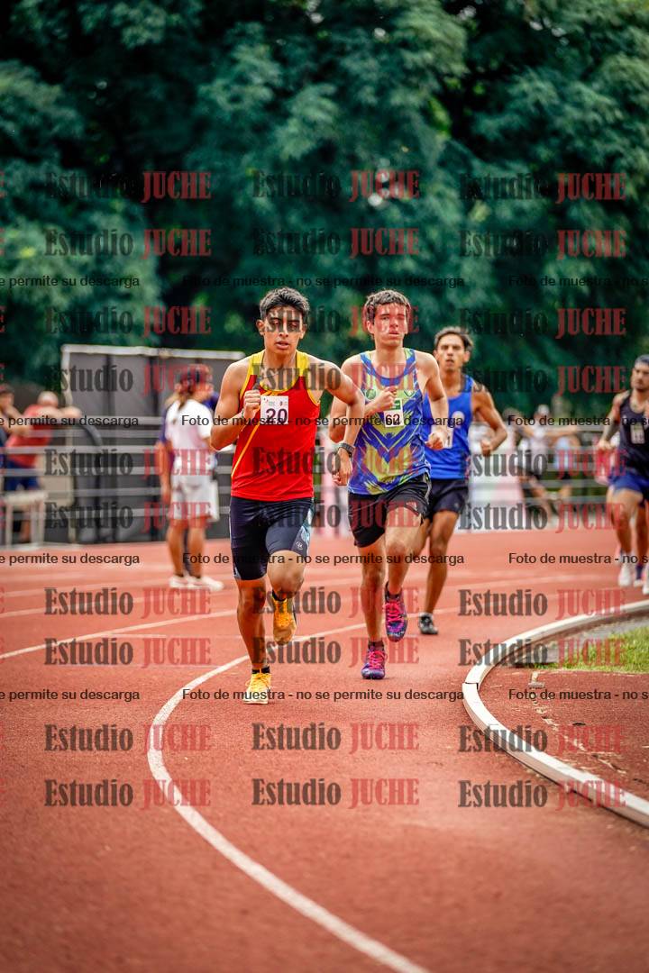 Fotos de los 800 m de varones