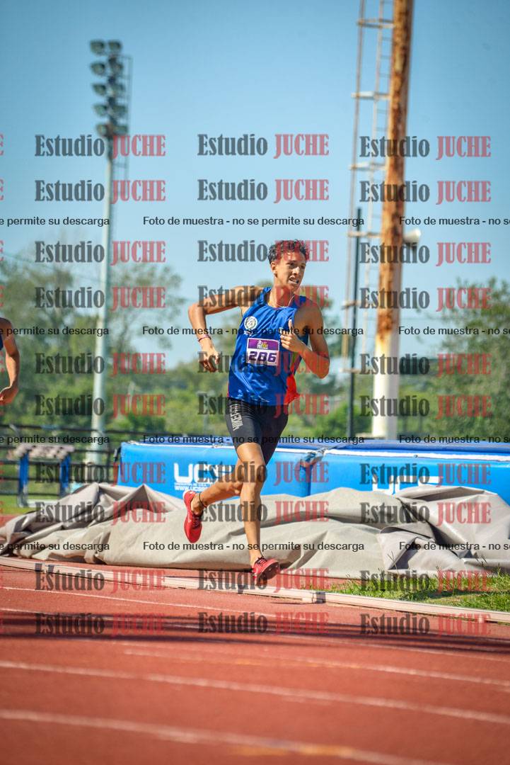Fotos de los 800 m llanos de varones