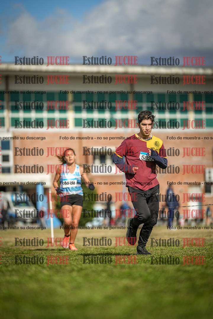 Fotos en el circuito