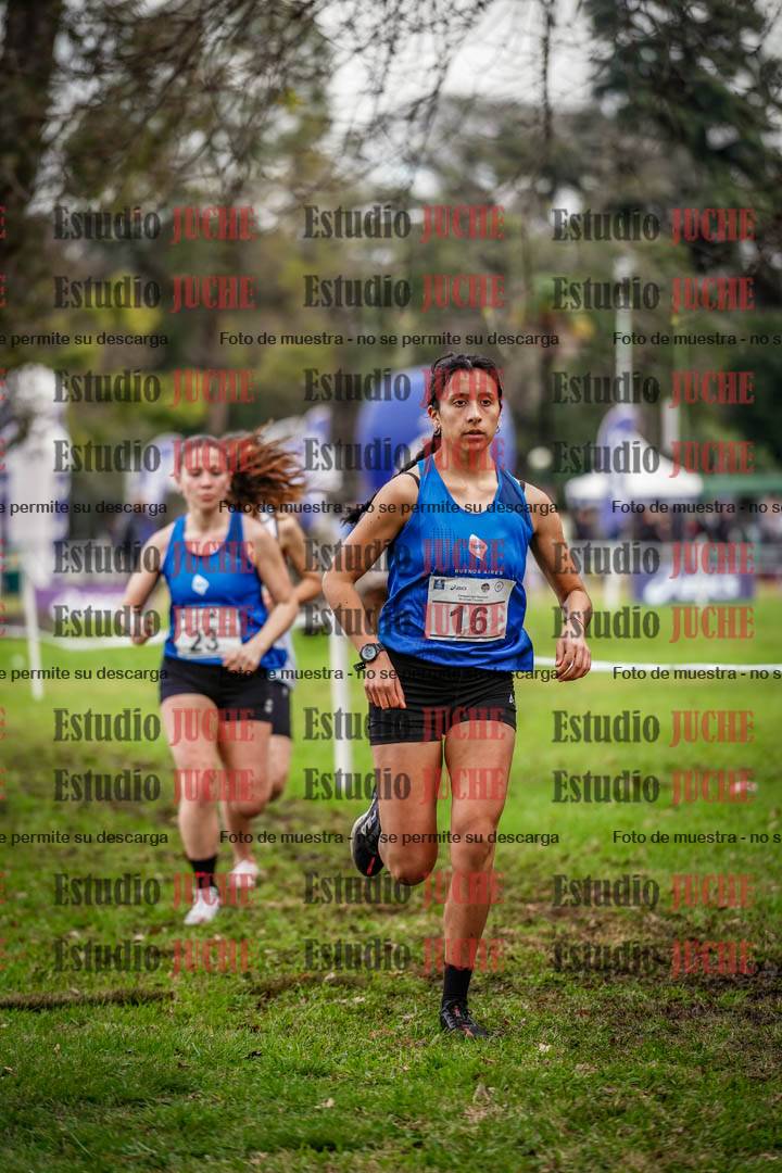 Fotos en el circuito