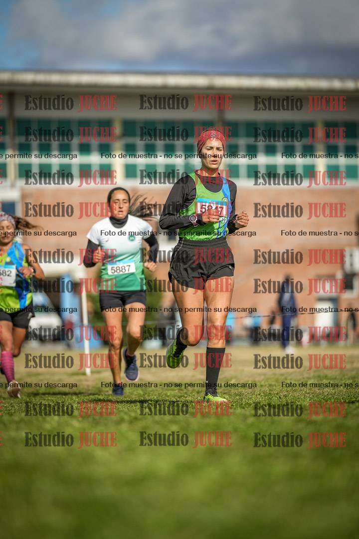 Fotos en el circuito