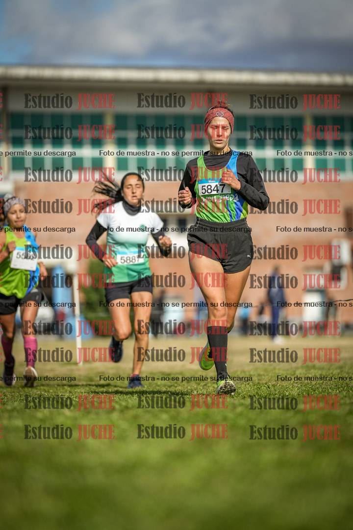 Fotos en el circuito