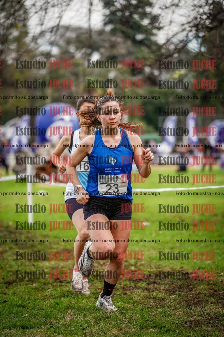 Fotos en el circuito
