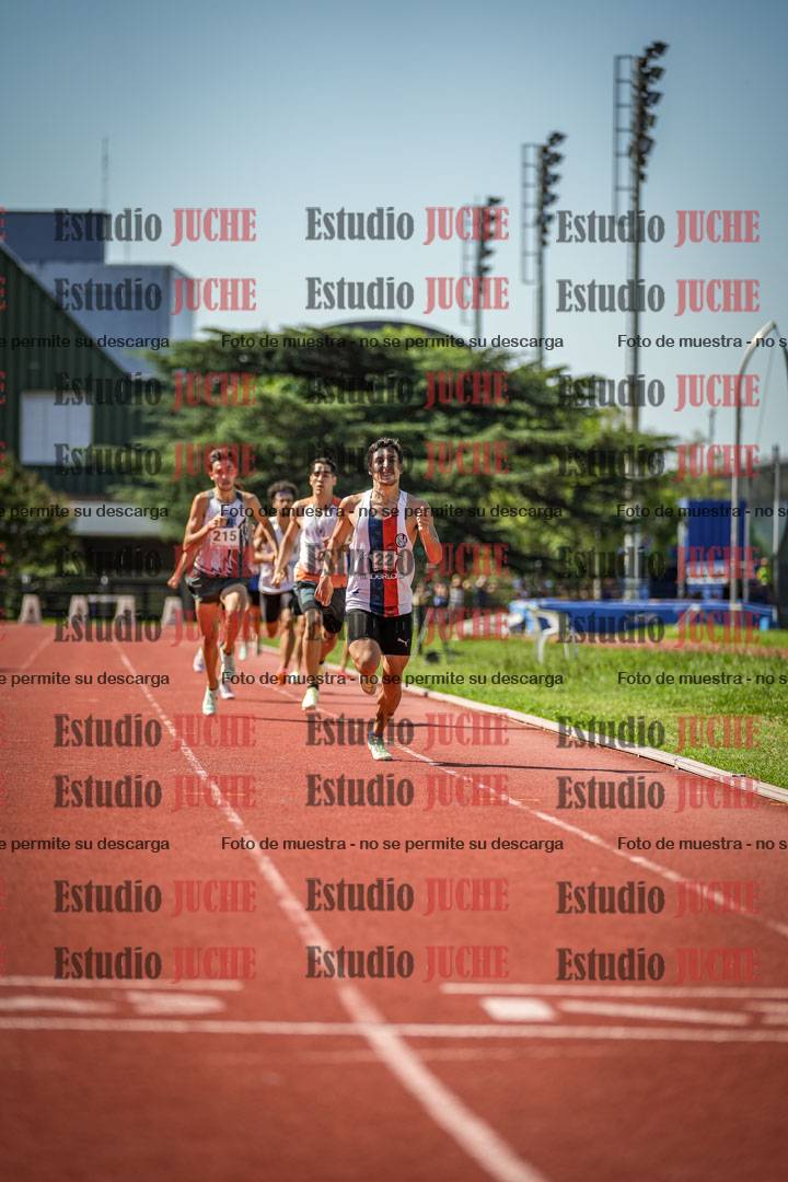 Fotos de los 800 m llanos de varones