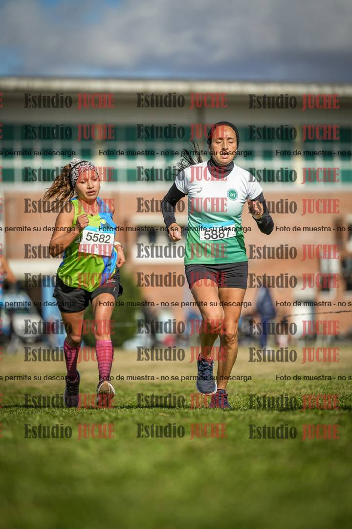 Fotos en el circuito