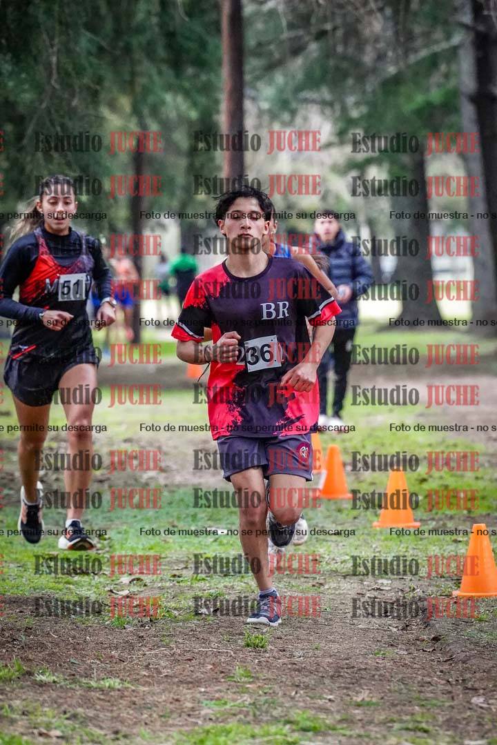 Fotos en el circuito