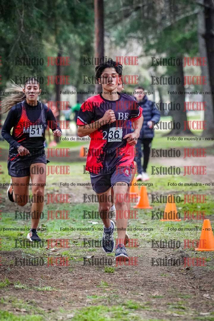 Fotos en el circuito