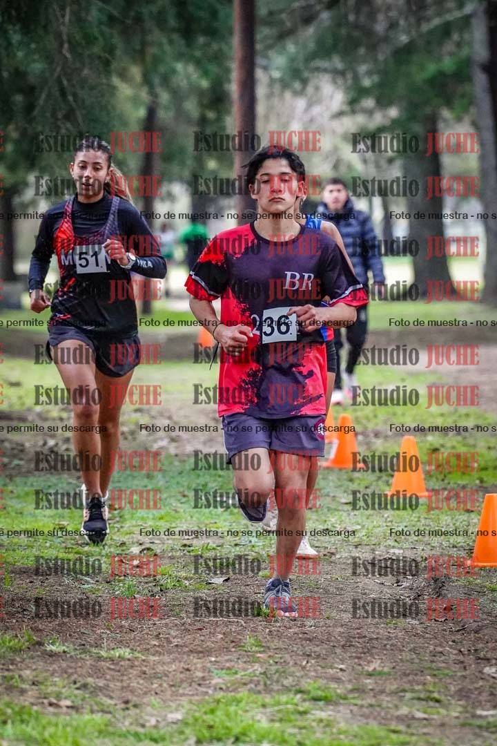 Fotos en el circuito