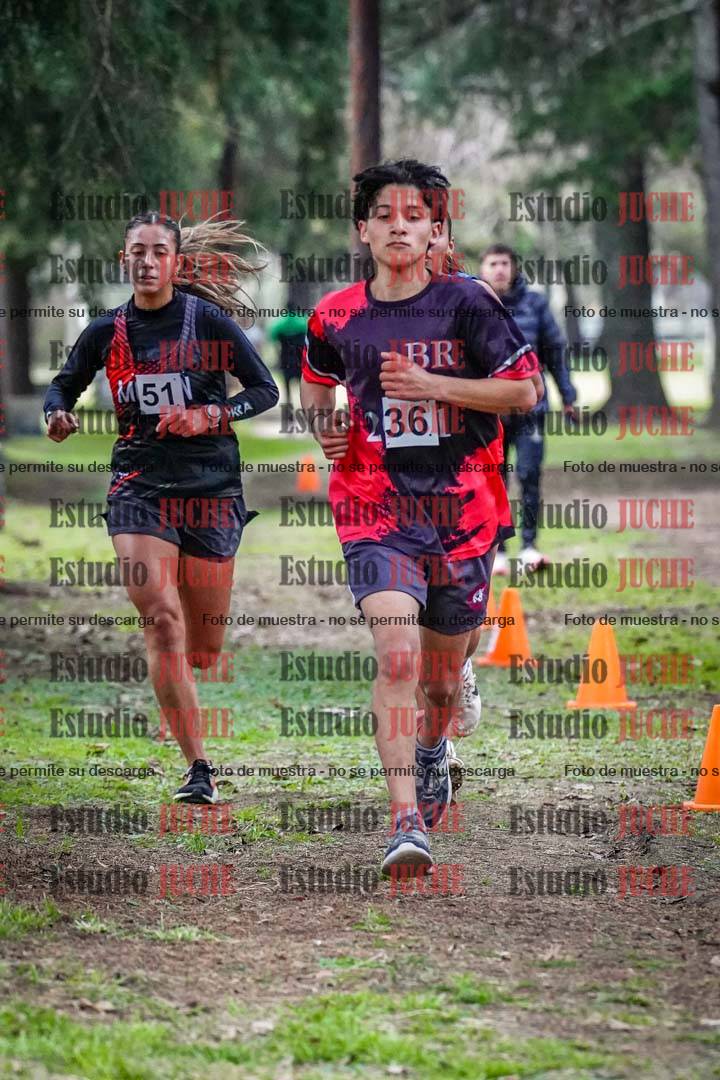 Fotos en el circuito