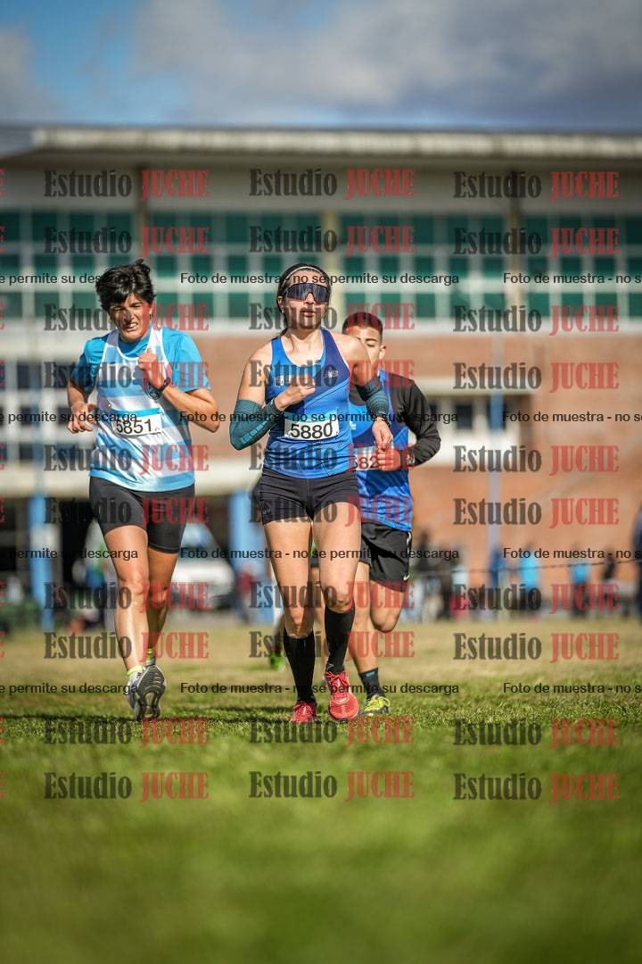 Fotos en el circuito