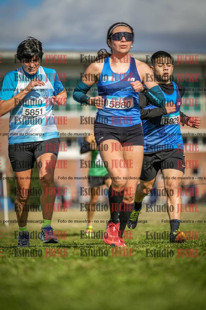 Fotos en el circuito