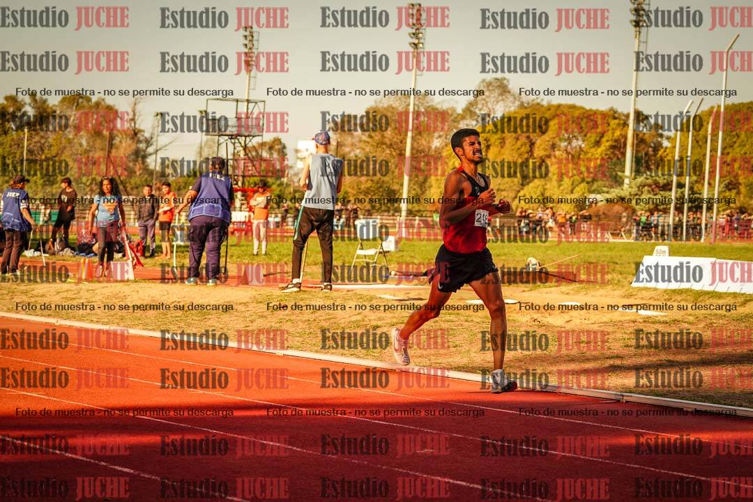 Fotos de los 3000 m llanos de varones