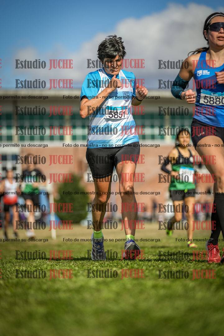 Fotos en el circuito