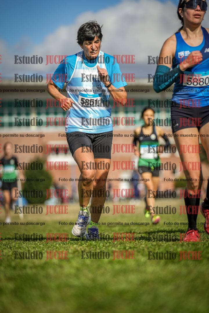 Fotos en el circuito